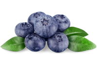 Berry